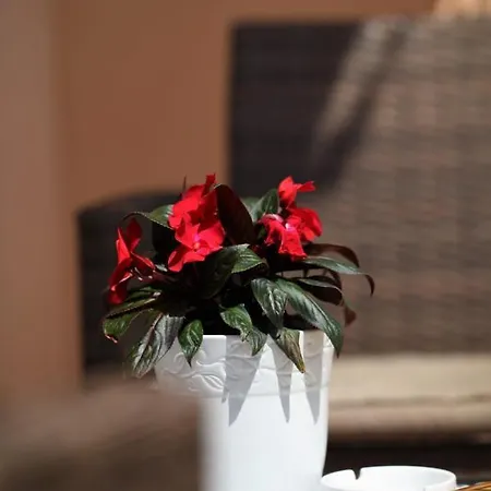 Sunbreeze Apartmán *